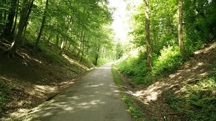 L’Avenue verte à Forges-les-Eaux : une voie de promenade sous les arbres