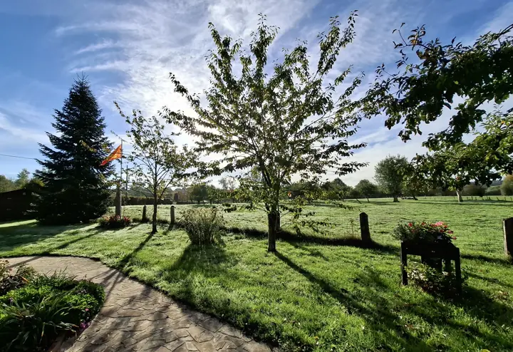 Le jardin au petit matin : jeunes arbres, sapin et pré à perte de vue