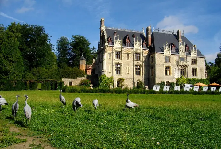 Le château du parc de Clères et, sur la pelouse, des oiseaux en liberté